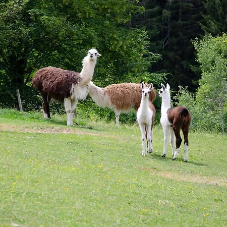Schupferhof