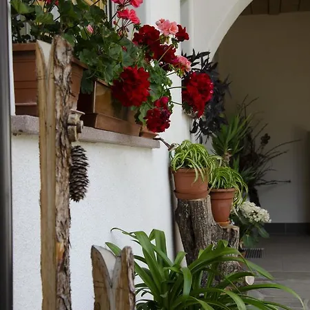 Schupferhof Apartment